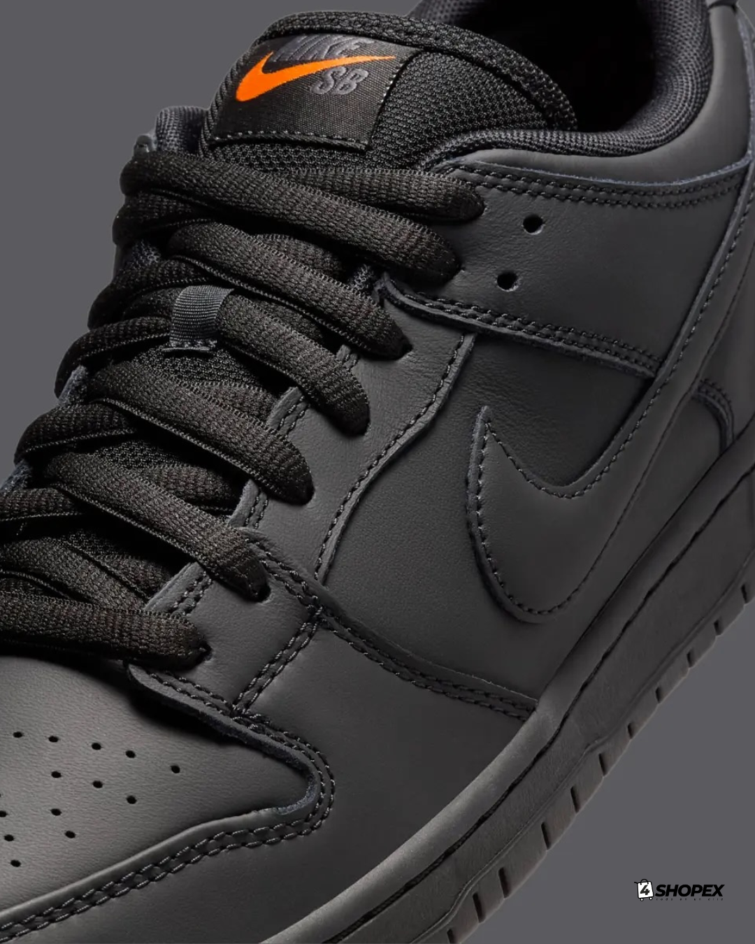 Nike SB Dunk Low Pro